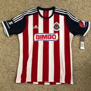 Chivas Home Jersey: 2013-2014